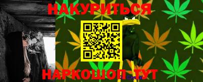 гидра Кингисепп