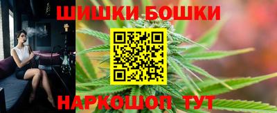 гидра Кингисепп