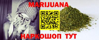 гидра Кингисепп