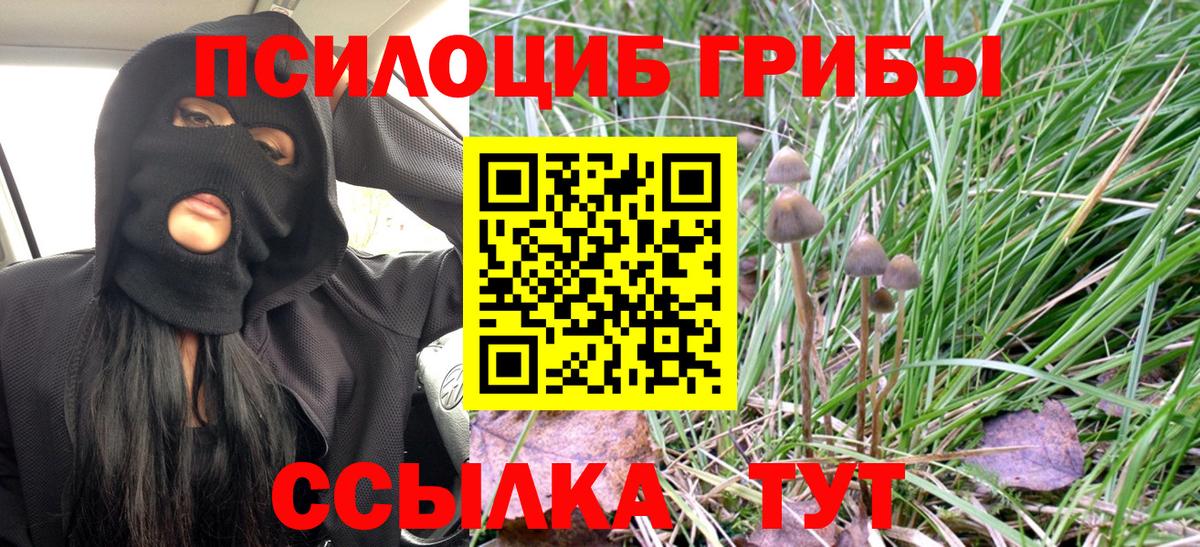 Псилоцибиновые грибы MAGIC MUSHROOMS Ялта